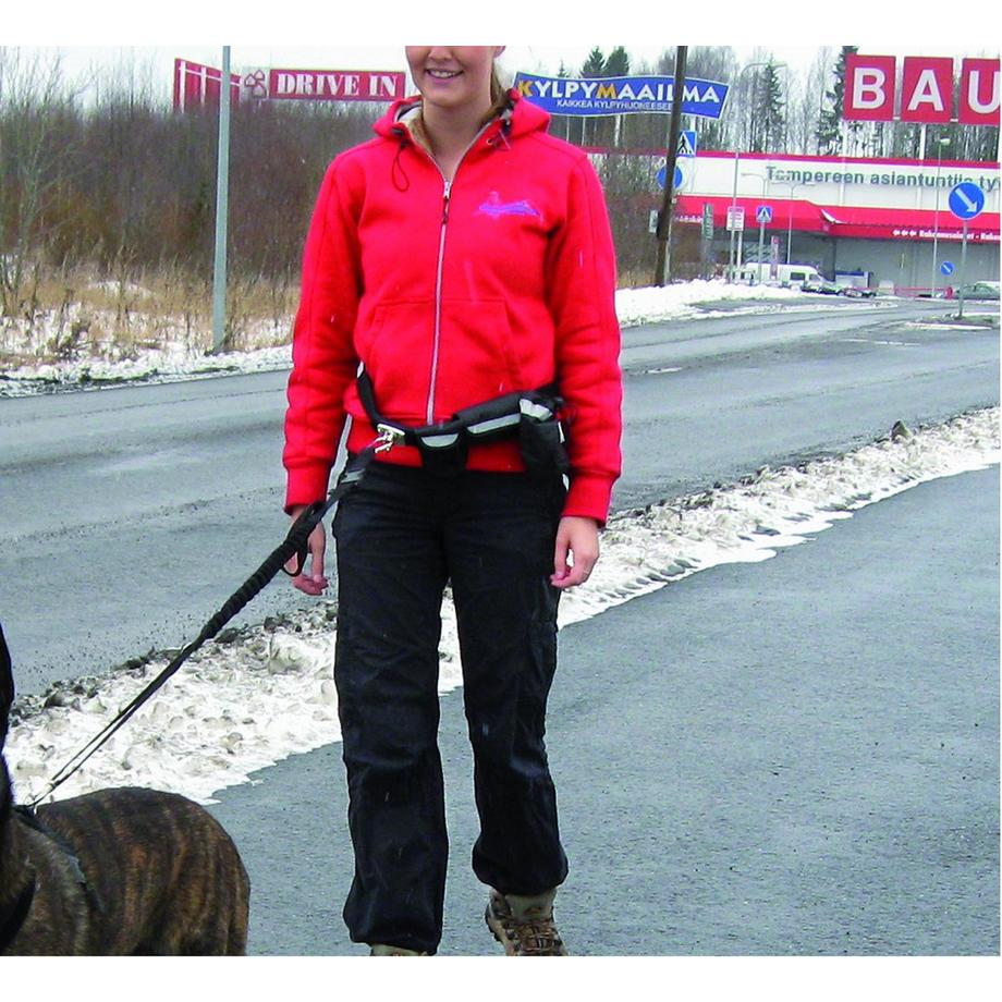 Pawise  Pawise Hands Free Doggy Bike Jogger Kit 