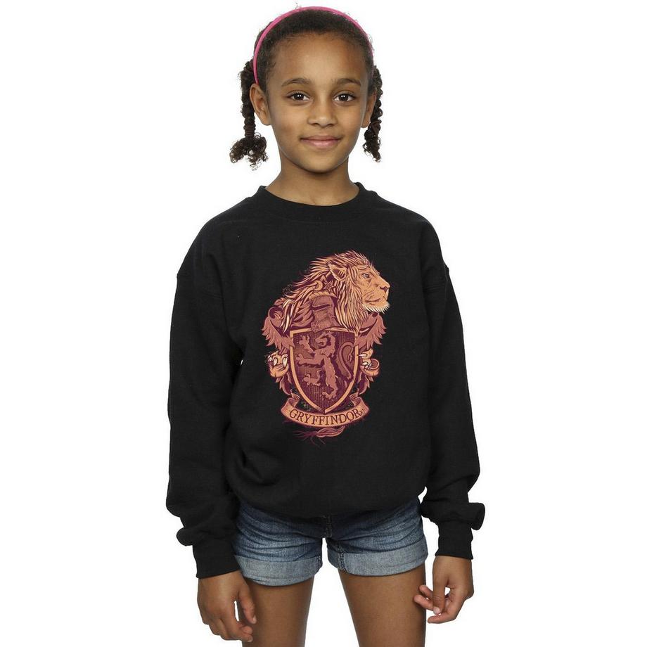 HARRY-POTTER  Sweat GRYFFINDOR 