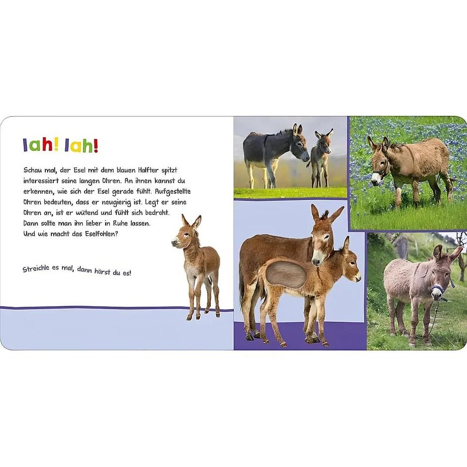 Hör mal rein, wer kann das sein? - Auf der Weide Kein Autor Couverture rigide 