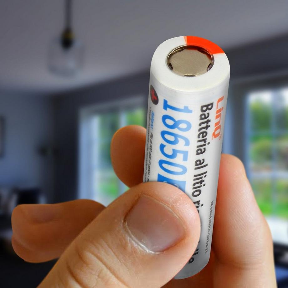 Avizar  Batterie 3200mAh flach LinQ 