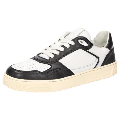 Sioux  Sneaker Tedroso-DA-700 