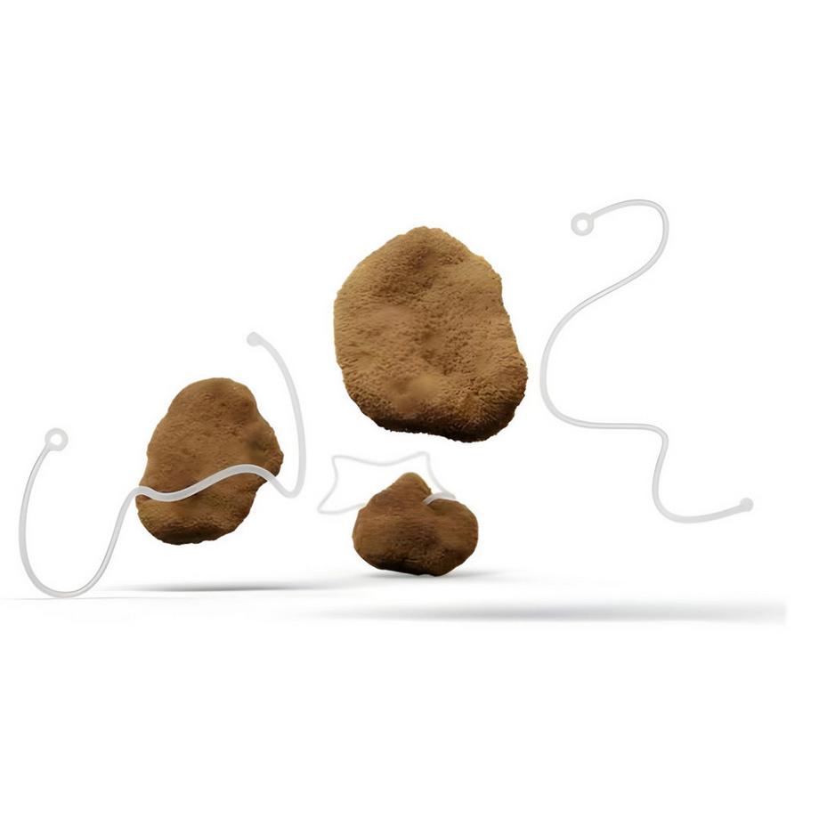 Hera Organics  Starterkit 