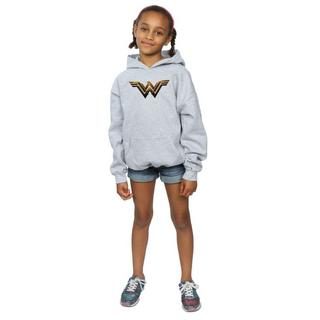 DC COMICS  Justice League Kapuzenpullover 