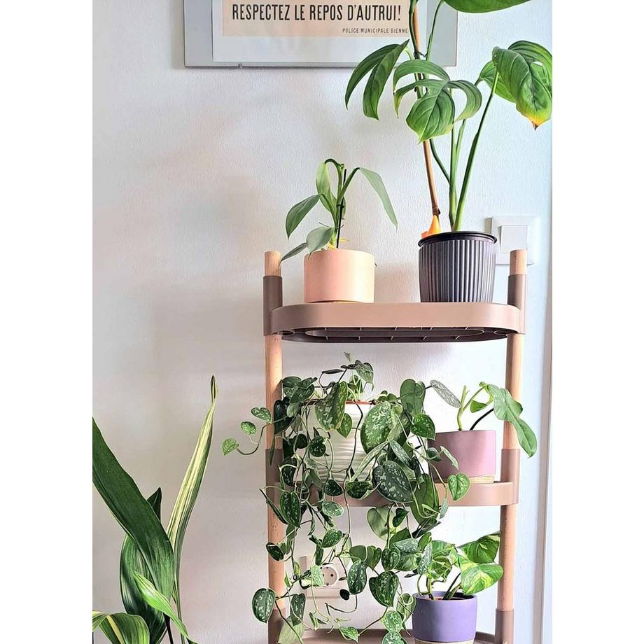 CitySens Pflanzenregal  