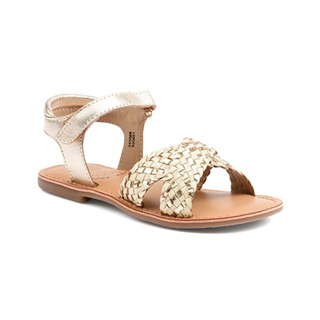 Image of Canibraid Unisex Gold 34