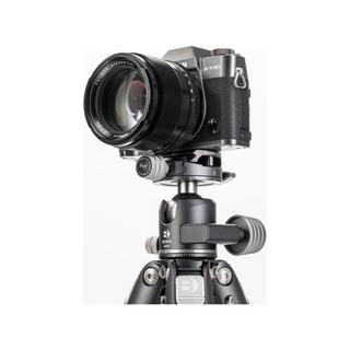 BENRO  Benro GX30 testa per treppiede Grigio, Argento 1/4" Palla 