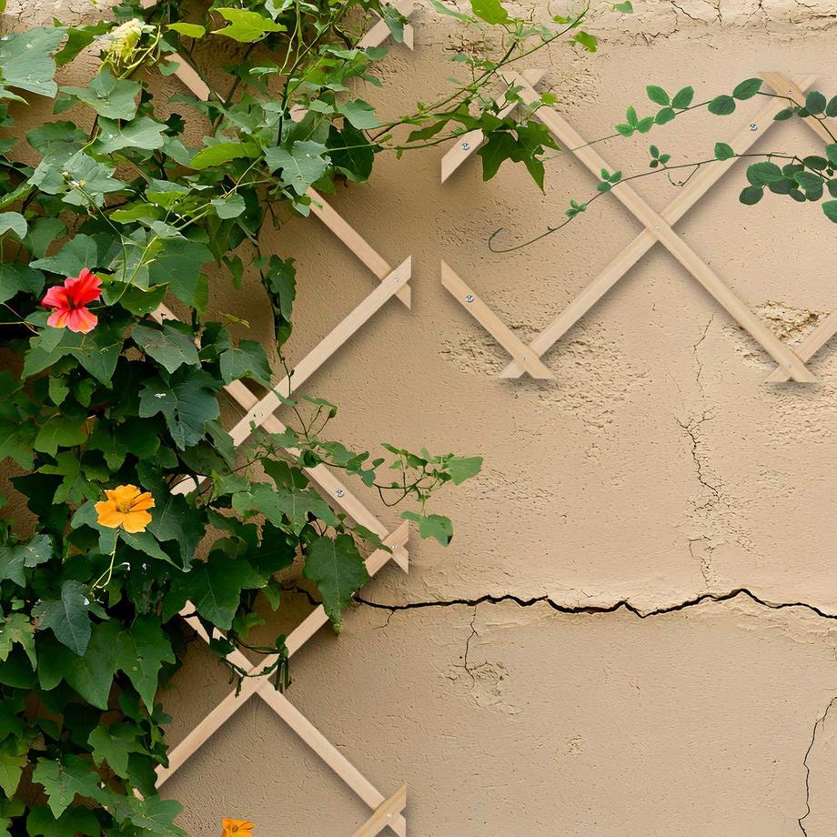 Northix Set di tralicci estensibili per piante  