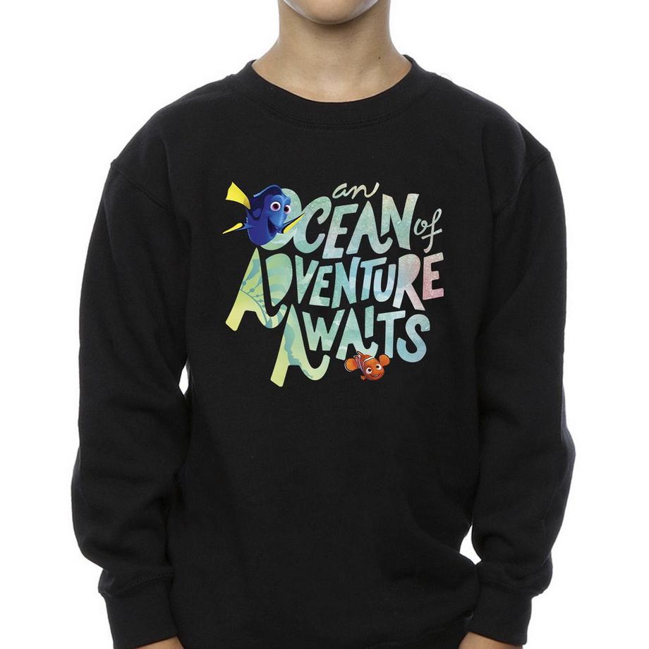 Disney  Finding Dory Ocean Of Adventure Sweatshirt 
