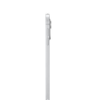 Apple  IPad Pro 5G  M TD-LTE & FDD-LTE 256 Go 27,9 cm (11") 8 Go Wi-Fi 6E (802.11ax) iPadOS 17 Argent 