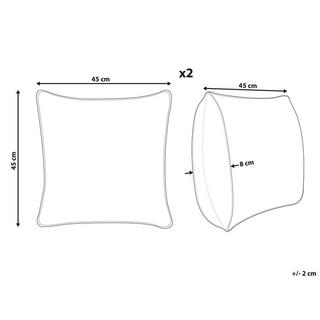 Beliani Lot de 2 coussins en Coton Moderne SCIRPUS  