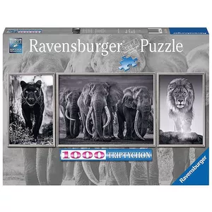 Puzzle Panter, Elefanten, Löwe (1000Teile)