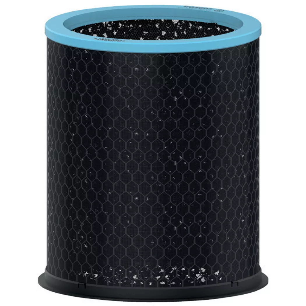 Leitz Replacement Carbon filter for TruSens Z-3000 / Z-3500 Large Allergy and Flu Filter, 1 Pack