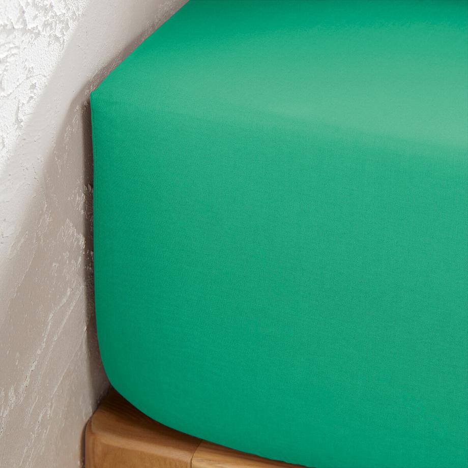 La Redoute Intérieurs Scenario Drap Housse Uni en Coton pour Matelas Hauts  