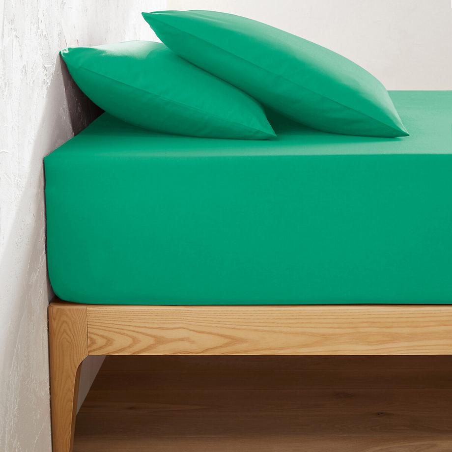 Drap housse uni coton