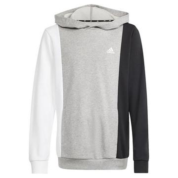 Sweat à capuche ESSENTIALS