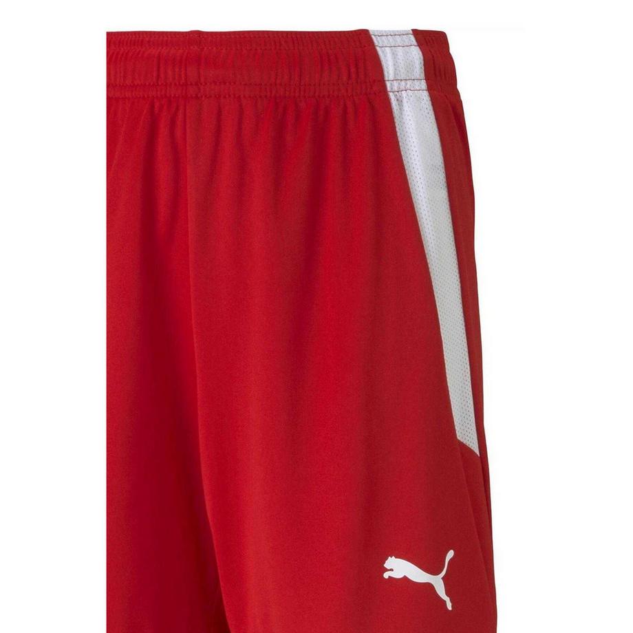 PUMA  Team Liga Fußballshorts 