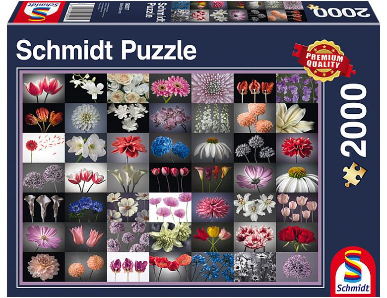 Image of Blumengruß