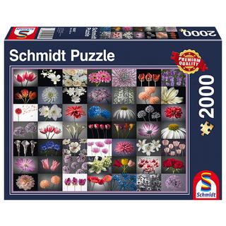 Schmidt Spiele  Schmidt Spiele 58297 puzzle Jeu de puzzle 2000 pièce(s) 