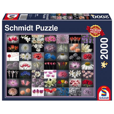 Schmidt Spiele  Schmidt Spiele 58297 puzzle Jeu de puzzle 2000 pièce(s) 