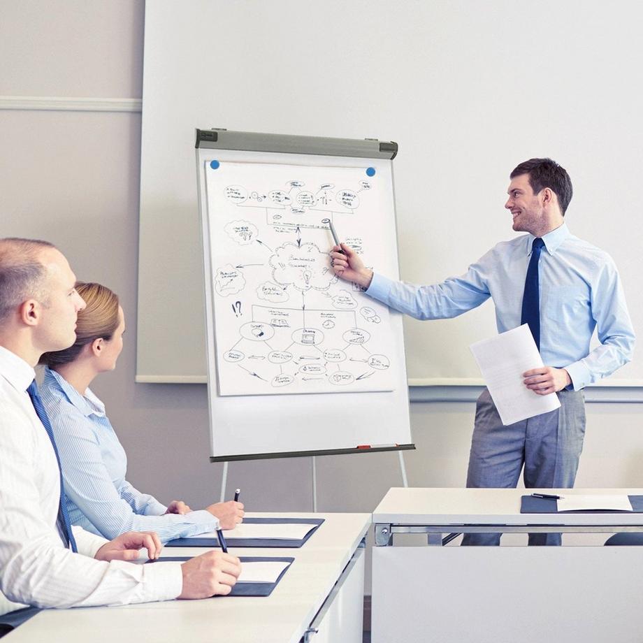 Master of Boards  Flipchart Coyote PRO | Dreibein-Stativ | Klappbar | Mit Papierhaltern 