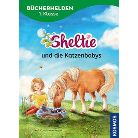 Sheltie, Bücherhelden 1. Klasse, Sheltie und die Katzenbabys Kessel, Carola von; Reitz, Nadine (Illustrationen) Copertina rigida 