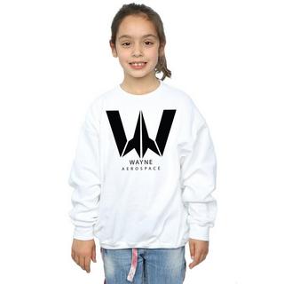 DC COMICS  Justice League Wayne Aerospace Sweatshirt 