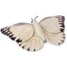 WWF  Plüsch Schmetterling (20cm) 