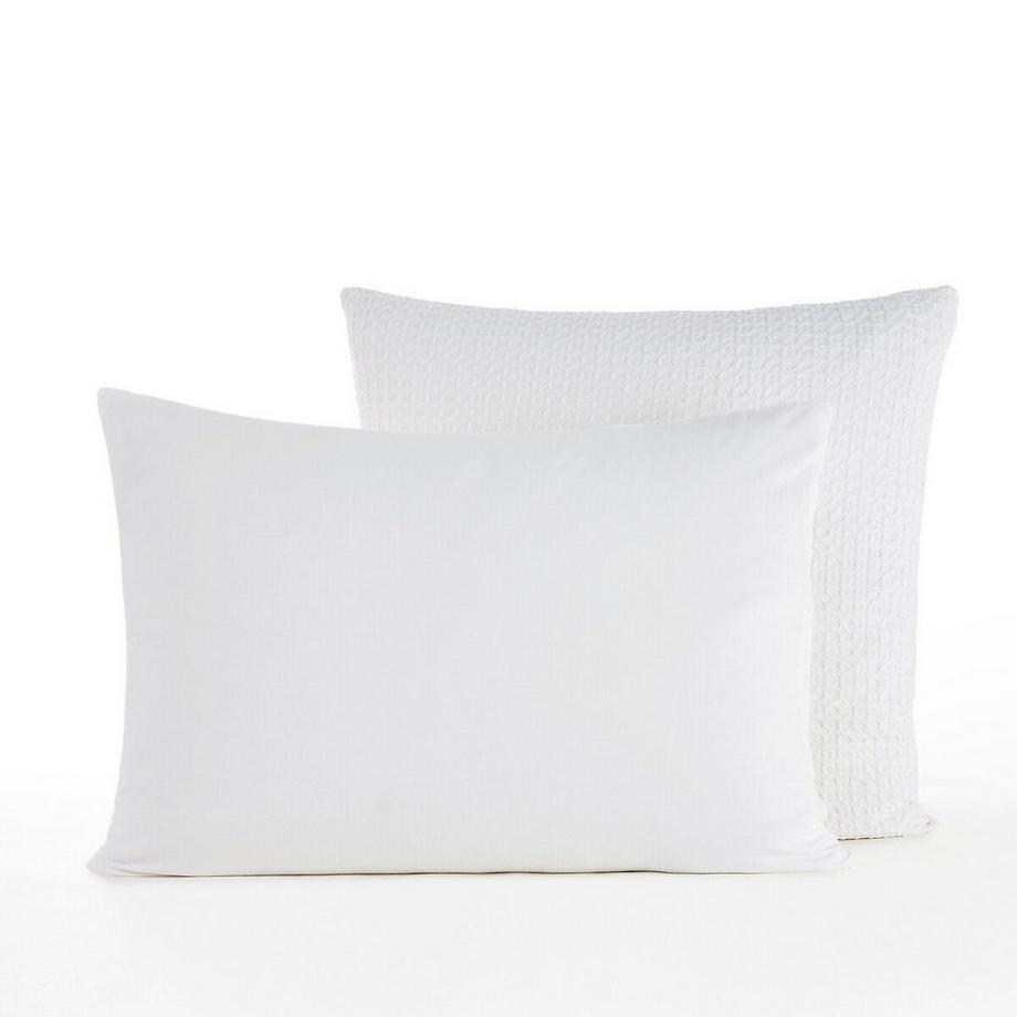 AM.PM Felycia Federa  