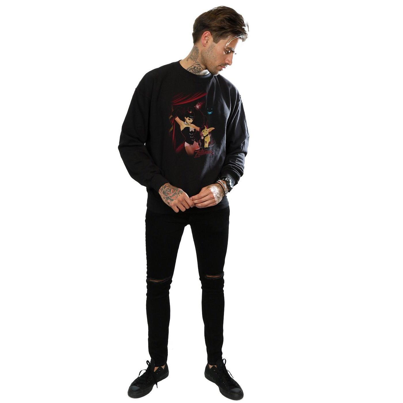 DC COMICS  Sweatshirt 