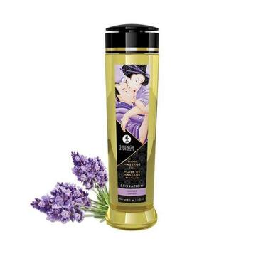 Shunga Massageöl Sensation Lavendel 240ml