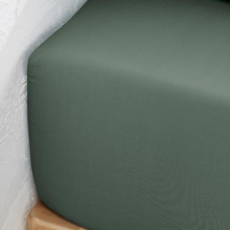 La Redoute Intérieurs Scenario Uni Perkal Bio-Baumwoll-Fixleintuch  