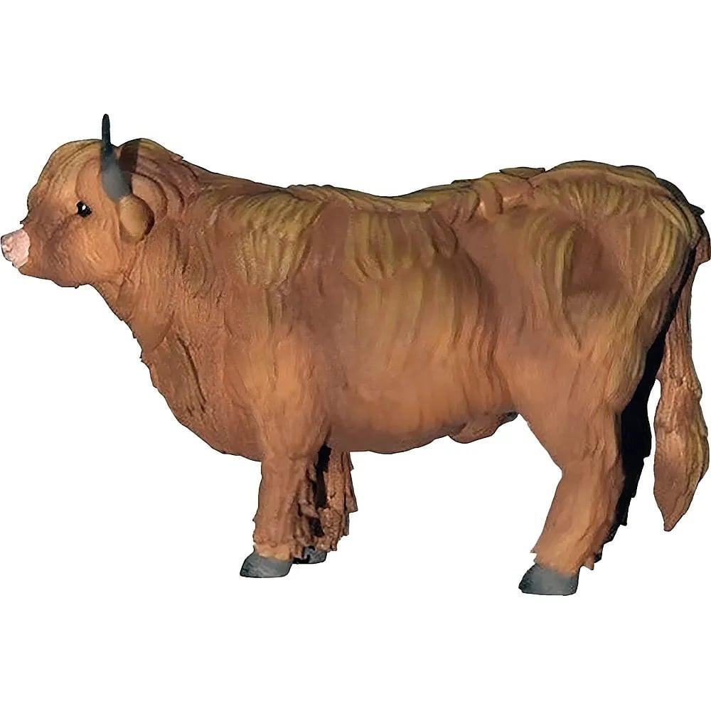 Image of Schottisches Highlandrind