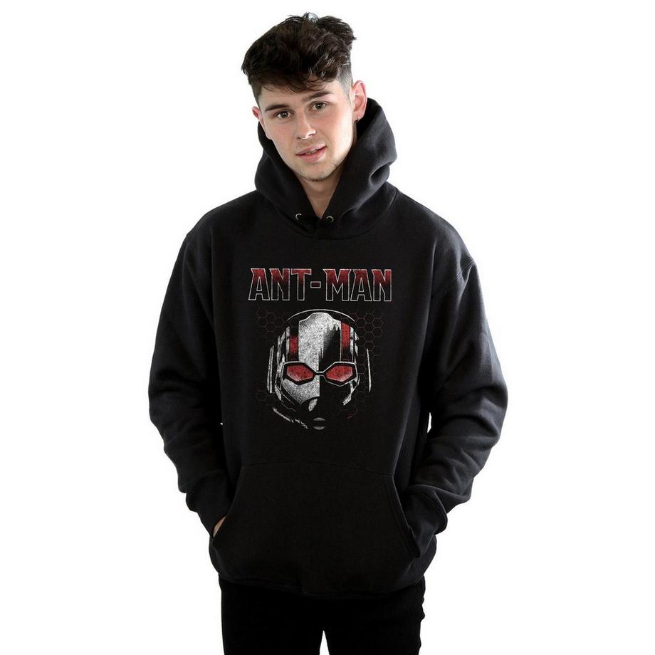 MARVEL Ant-Man Logo Sweat à Capuche  