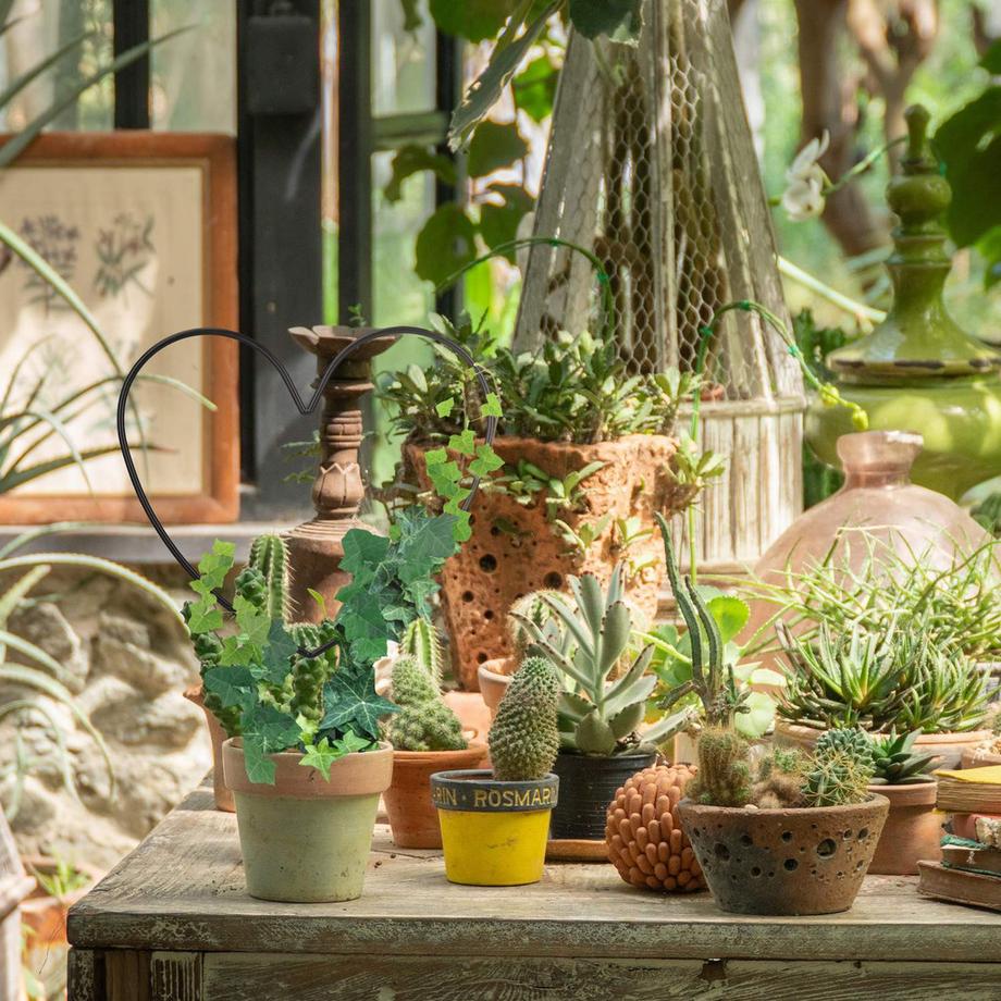 B2X Herz für Steighilfen  