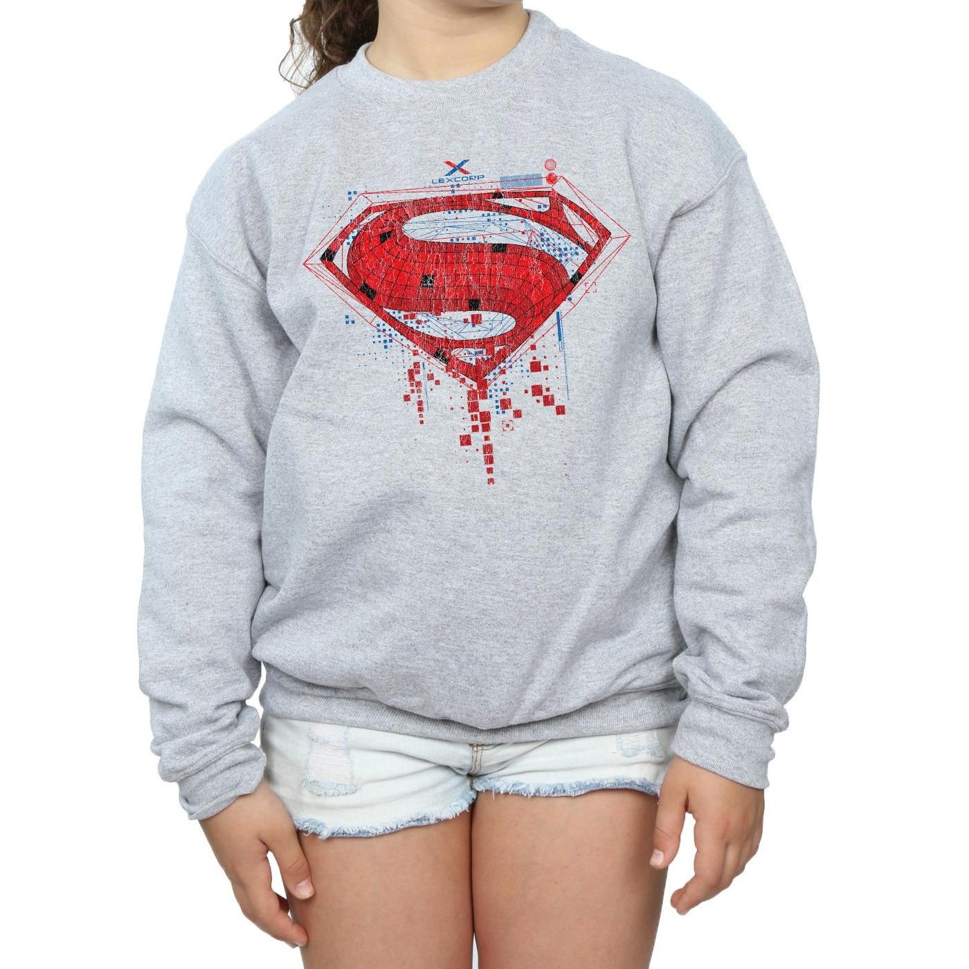 DC COMICS  Sweatshirt 