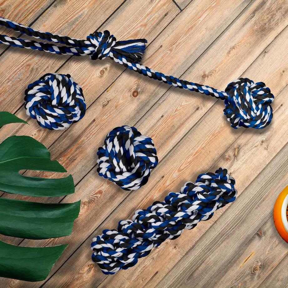 B2X  Ensemble de jouets pour chien en 4 parties 