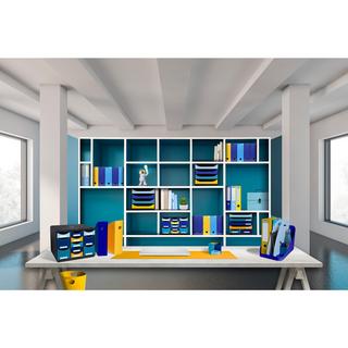 Exacompta Set de 4 porte-revues Mag-Cube Bee Blue  