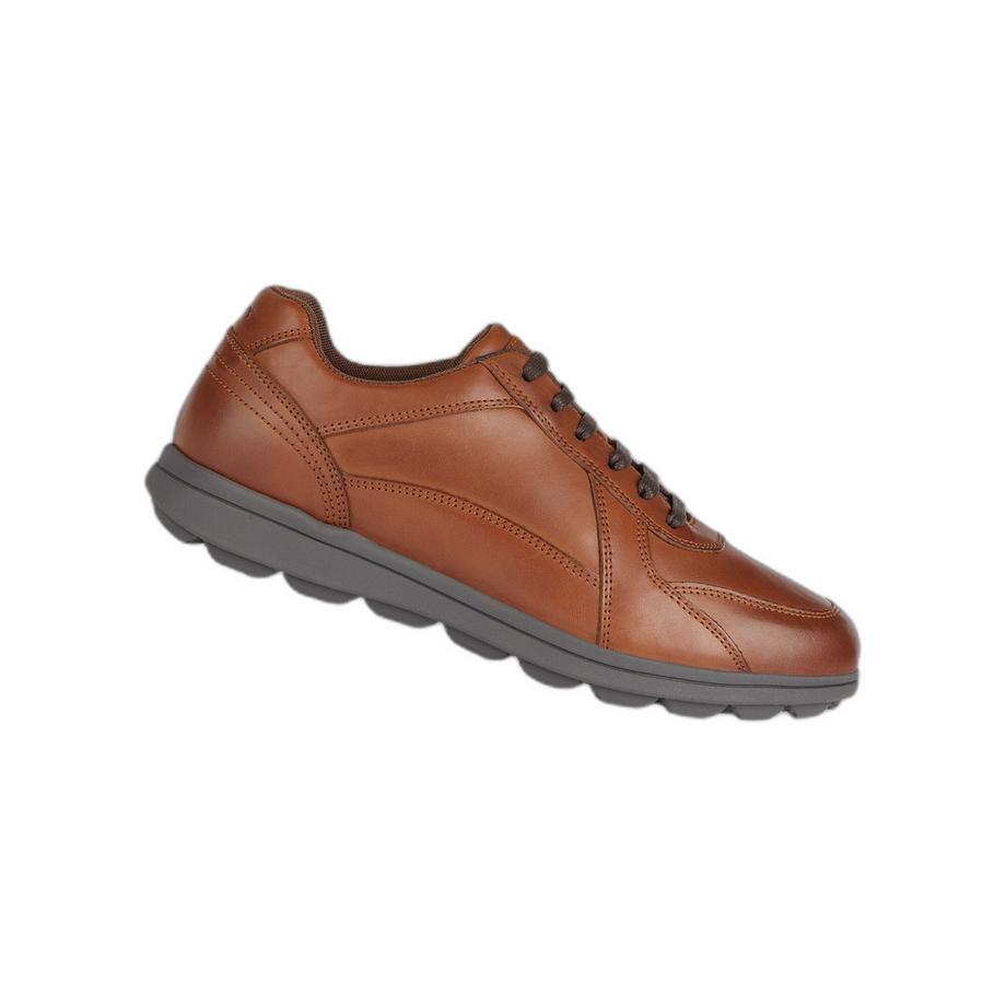 GEOX Spherica EC12 Sneakers  