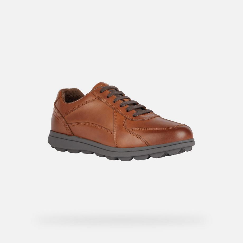 GEOX Spherica EC12 Sneakers  