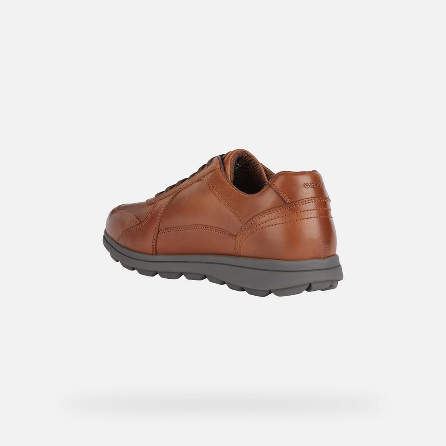GEOX Spherica EC12 Sneakers  