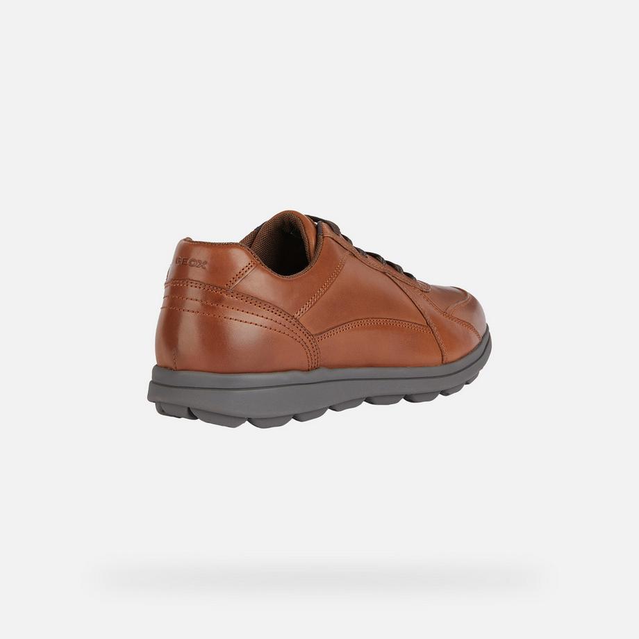 GEOX Spherica EC12 Sneakers  