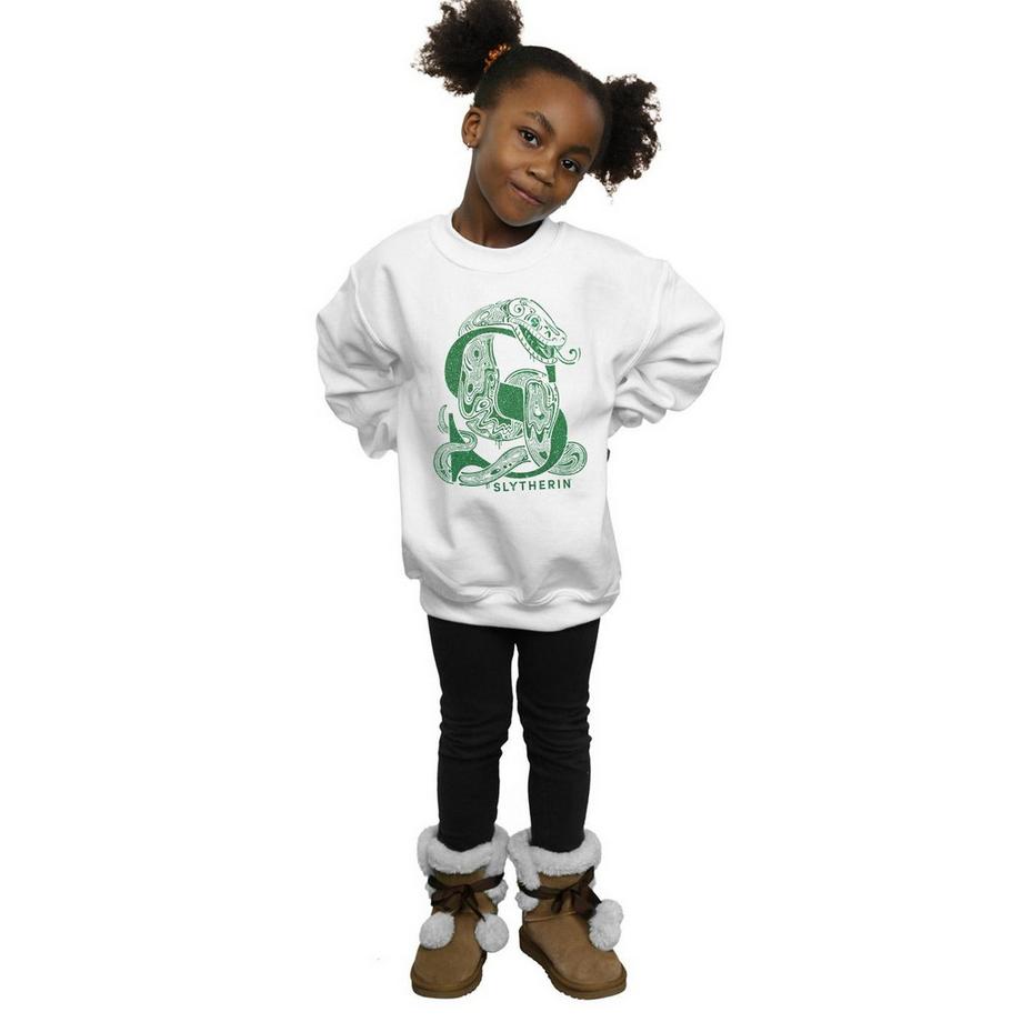 HARRY-POTTER  Slytherin Sweatshirt 