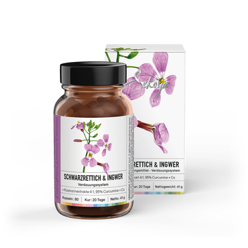 Schwarzer Rettich & Ingwer | Leberentgiftung