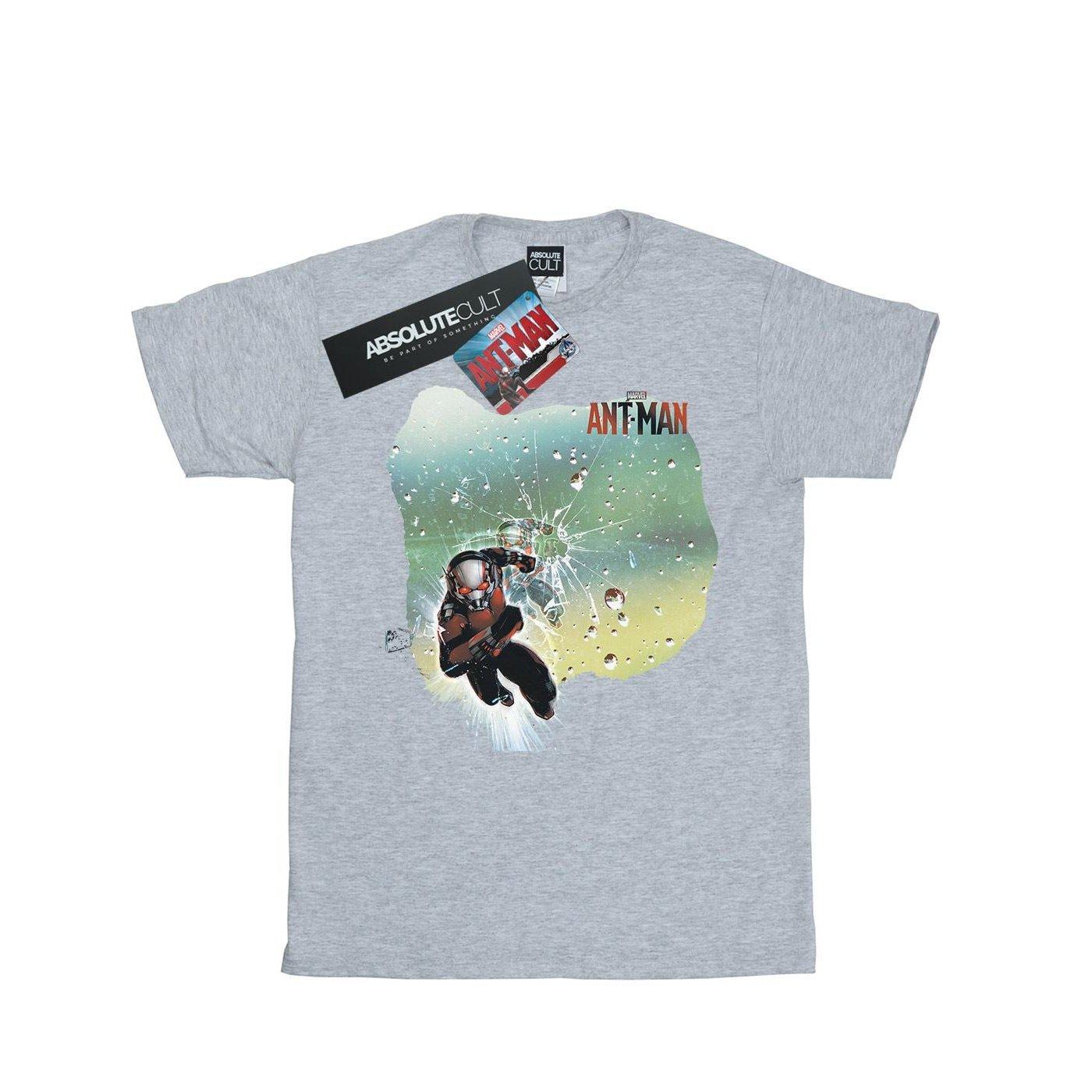 Image of Antman Shatter Tshirt Herren Grau L