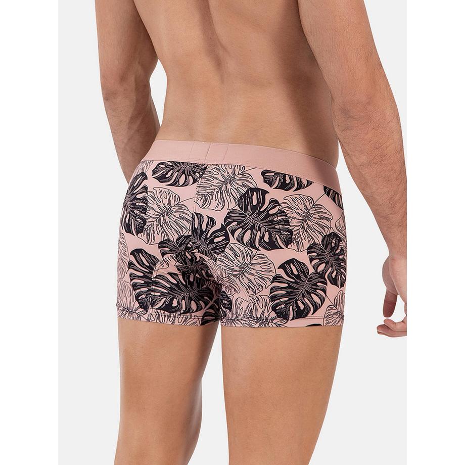Clever Pacif Boxer  