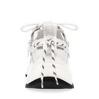 STEVE MADDEN  scarpe da ginnastica da tazmania 