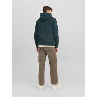 JACK & JONES  Sweatshirt à Capuche  Jordalston 