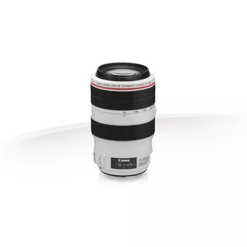 Canon EF 70–300 mm 1:4,0–5,6 L IS USM