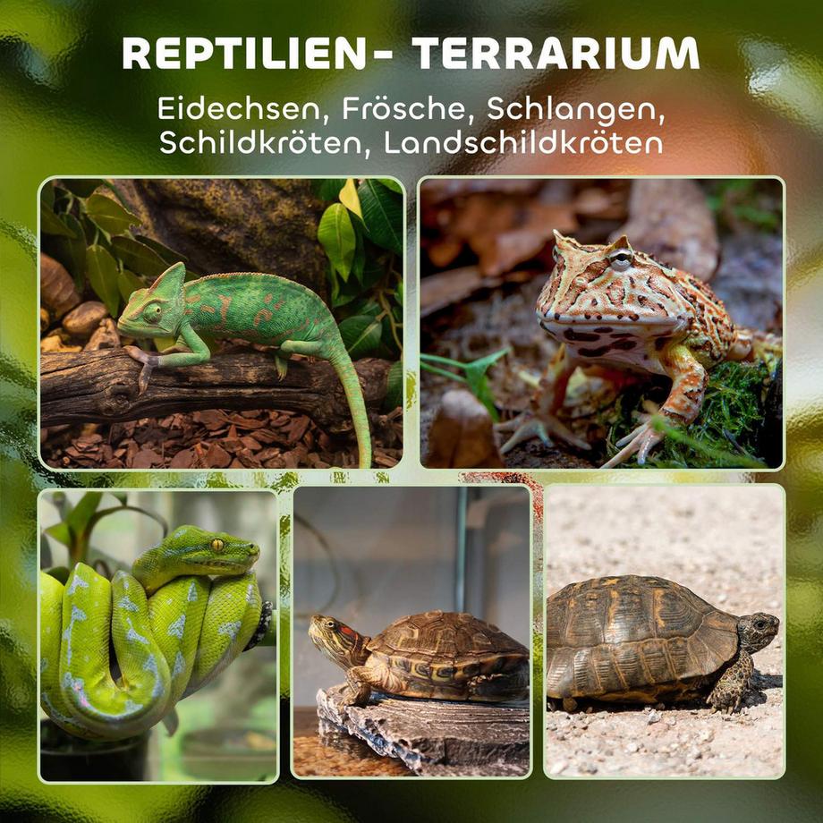 Northio  Reptilien-Glasterrarium, sicherer Verschluss 