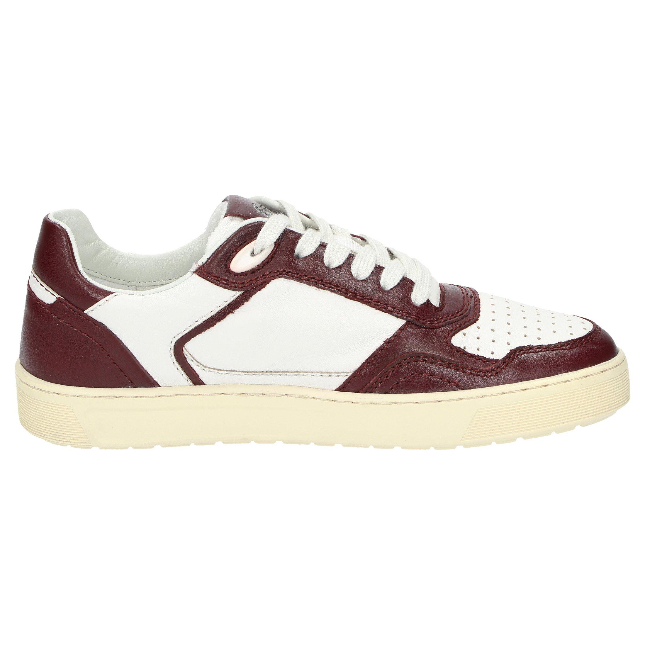 Sioux  Sneaker Tedroso-DA-700 